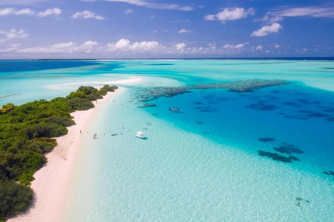 An investigation is under way after five Italian nationals died in a scuba diving accident in the Maldives.