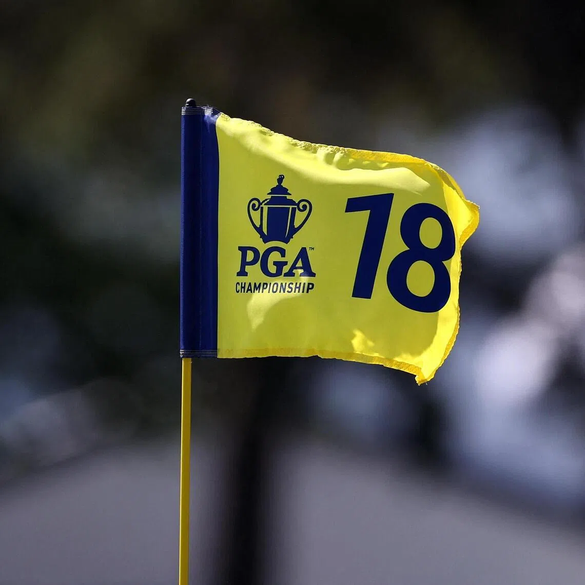 The PGA Championship shifted from August to May in 2019. Sponsors and telecasters like the month of May just fine, said PGA CEO Terry Clark.  