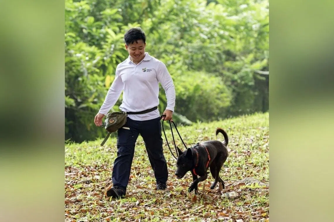 Paws In The City will be held at the Guoco Tower Urban Park in Tanjong Pagar from 11am to 8pm.
