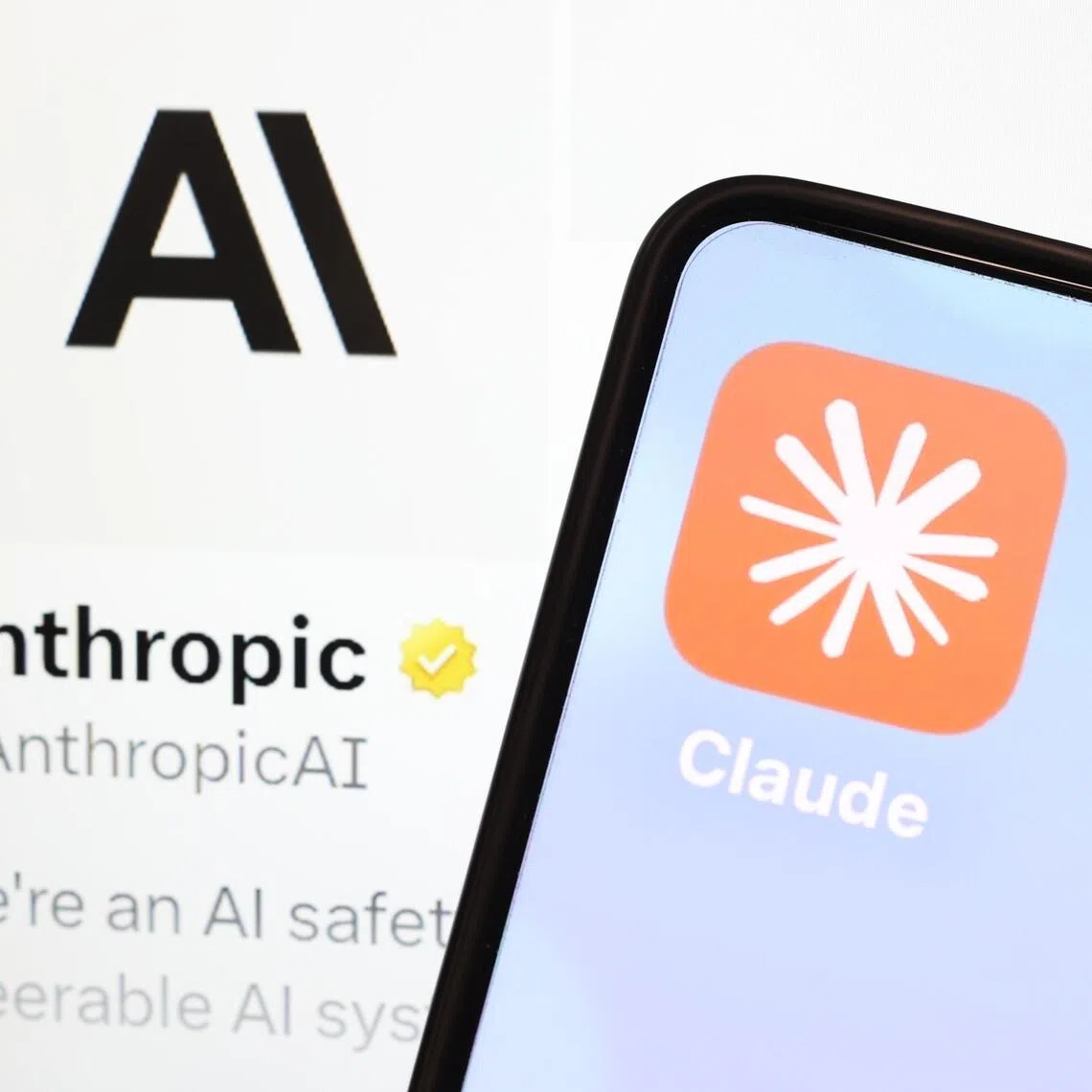 David Lan Thackray was arrested after his conversations with AI chatbot Claude were flagged by Interpol.