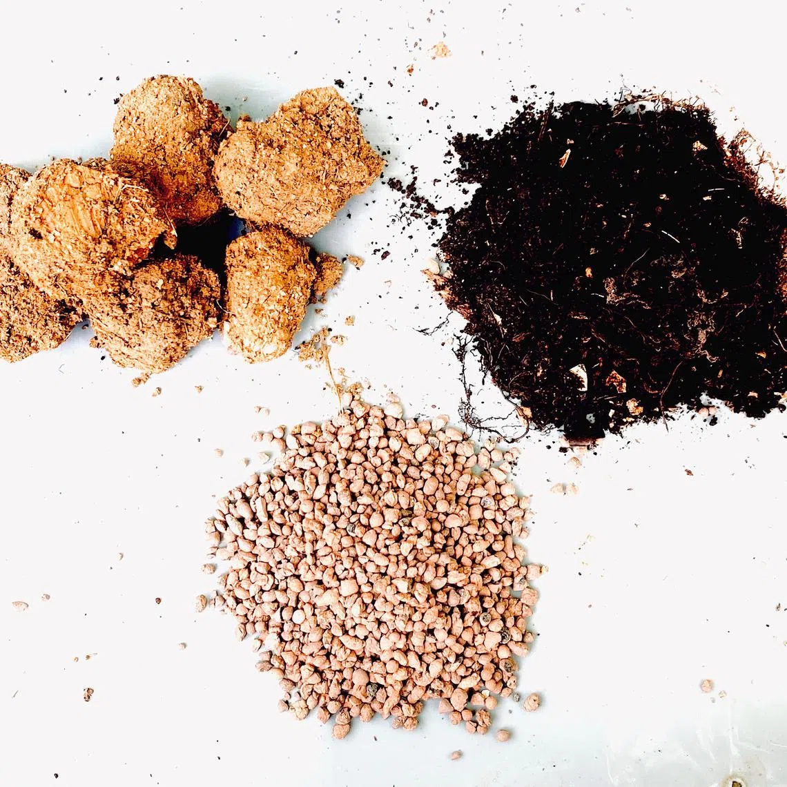 Clay-like soil (top left) can be improved by adding amendments such as good quality compost (top right, up to 30% by volume). Gritty inorganic materials such as fine-grade lightweight expanded clay aggregate (LECA) pellets (1 to 4 mm grain size), which are readily available for sale in local nurseries and online shopping platforms, can be added to aerate the growing medium. PHOTOS: WILSON WONG