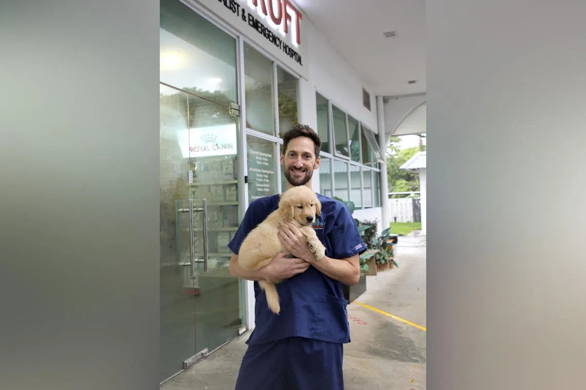 Dr Omri Belachsen is a veterinary cardiology specialist at the Beecroft Animal Specialist & Emergency Hospital.