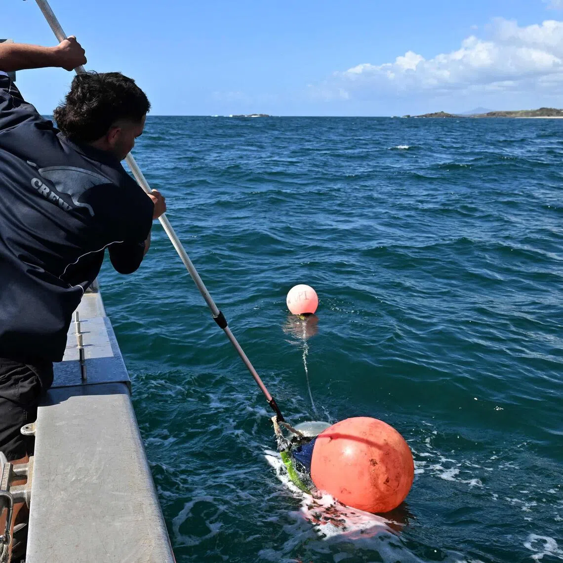 A worker from the state's shark monitoring programme retrieves smart drumlines equipped with baited hooks deployed in waters near Coffs Harbour in New South Wales.
