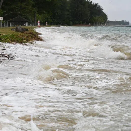 As Singapore braces for rising sea levels in the future, both the government and private landowners will share the responsibility for putting coastal protection measures in place.