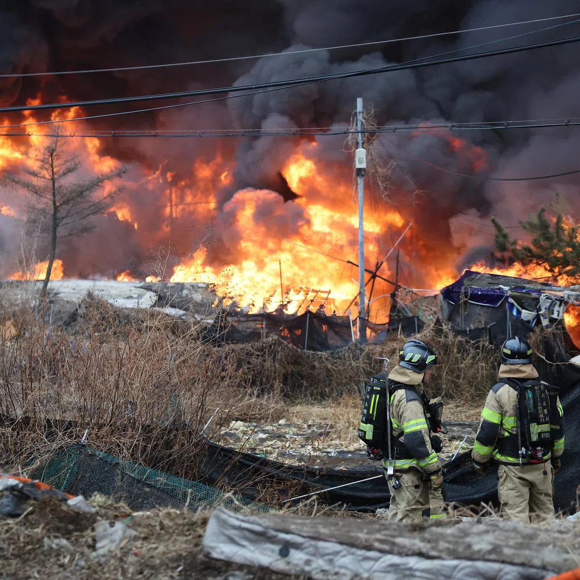 Firefighters look towards a fire engulfing Guryong Village on Jan 16.