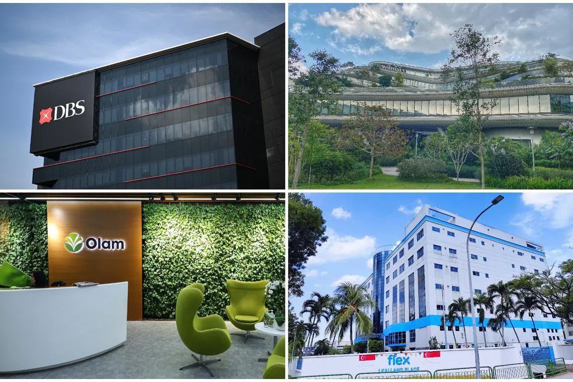 (Clockwise from top left) DBS Group, Wilmar International, Flex and Olam Group were among the companies listed. 