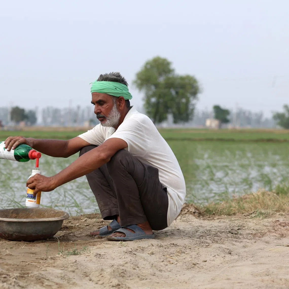 A farmer preparing fertiliser in Haryana, India. The shutdown of Gulf gas supplies not only means higher electricity bills but also higher food prices.