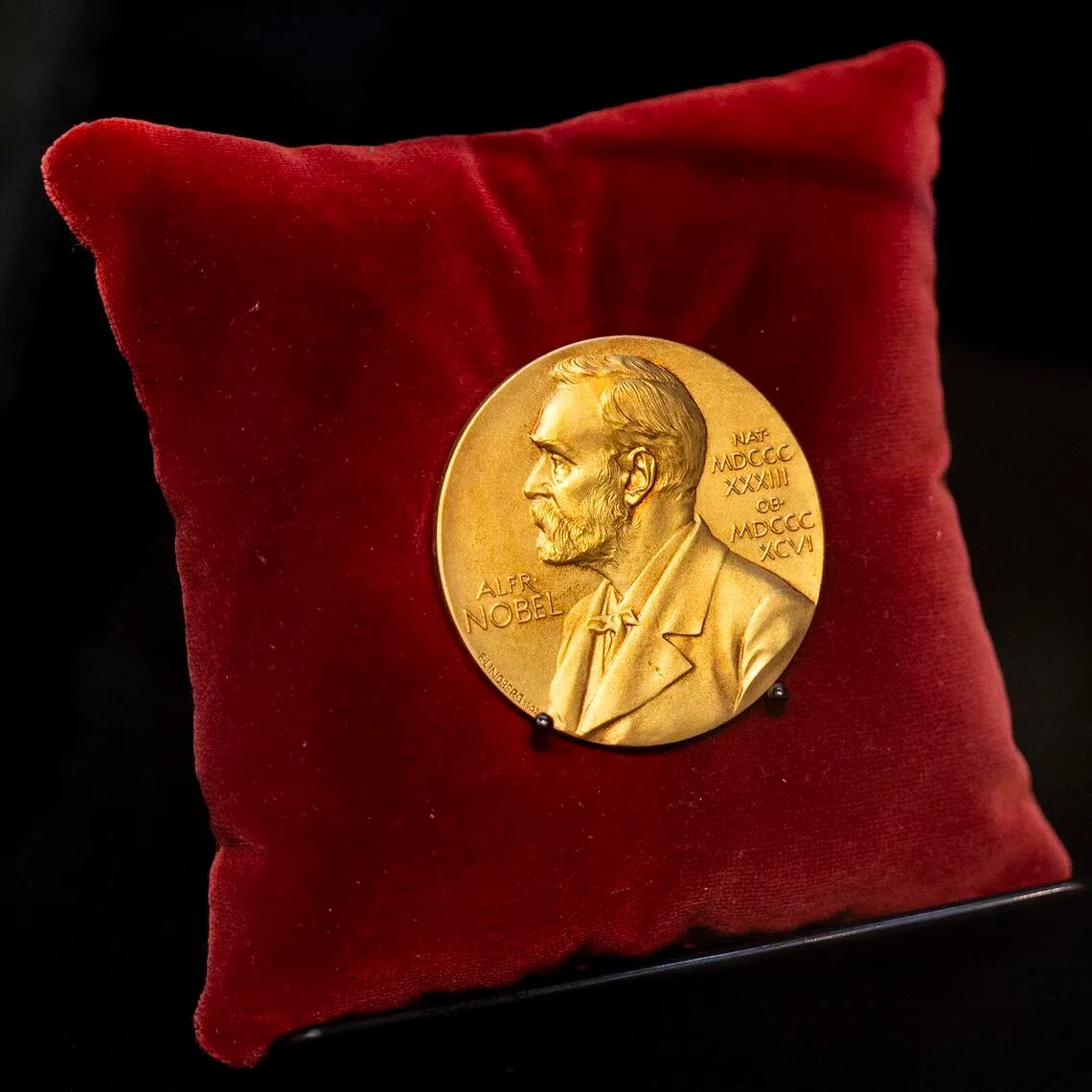 The winners of the six Nobel prizes for medicine, physics, chemistry, literature, peace and economics will be revealed daily from Oct 5-12.