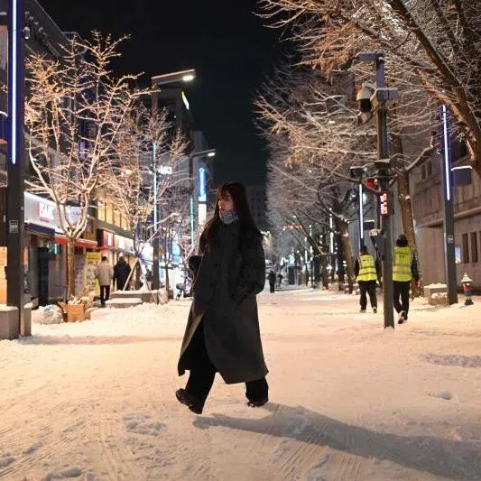 Pedestrians walk on a snowy street as the season's first snow falls in downtown Seoul on Dec 4.