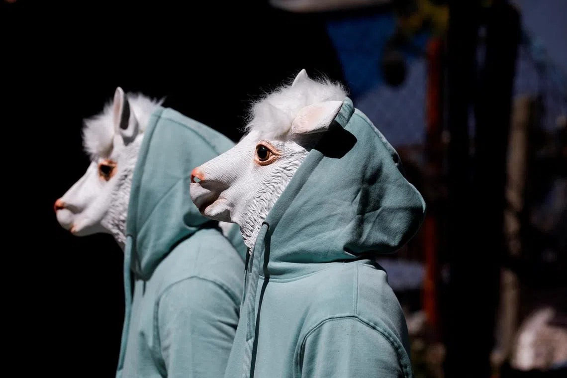 El Salvador's $1.4 Billion IMF Bailout: Implications for Cryptocurrency Policy