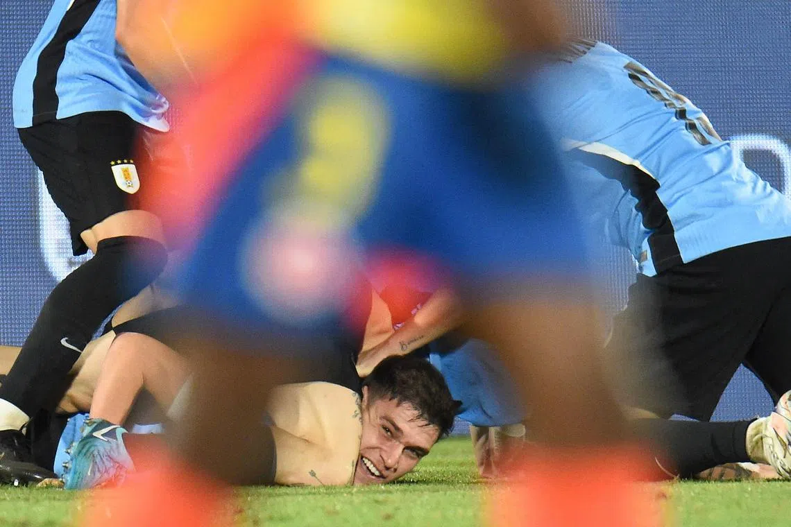 Uruguay midfielder Manuel Ugarte celebrating with his teammates after scoring his team's winner in a dramatic 3-2 home victory over Colombia at the Estadio Centenario in the South American World Cup qualifiers on Nov 15.