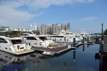 The broader Singapore yacht market could grow at an approximate compound annual growth rate of 5.6 per cent through 2026, due to rising affluence.