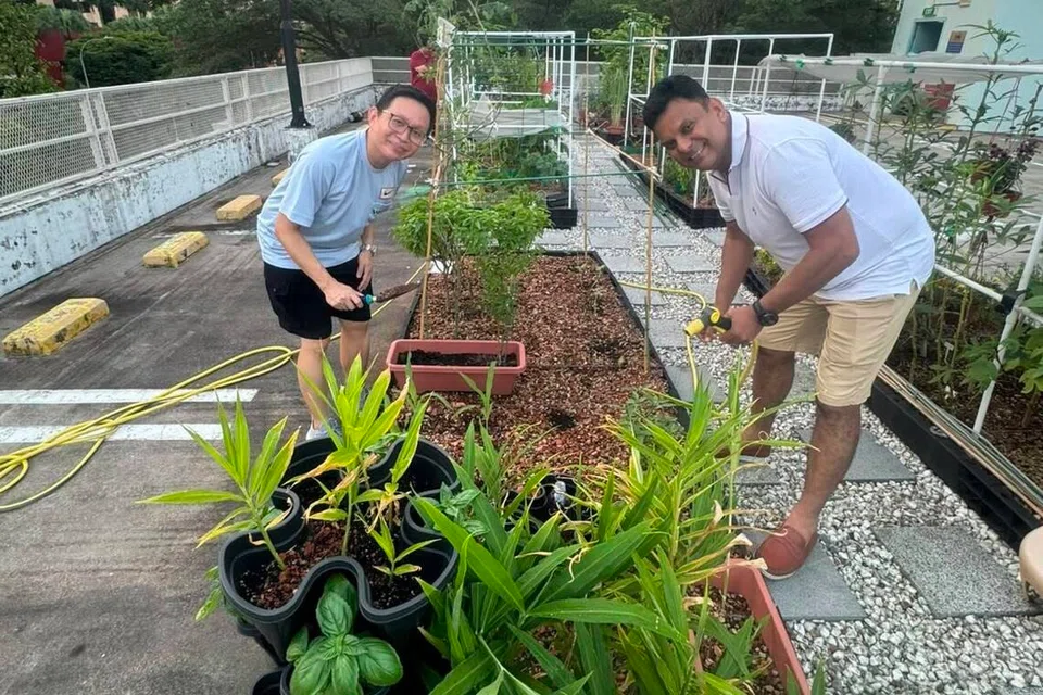 What began as an underutilised carpark roof has now become the heartbeat of Dover, serving as a central gathering point for residents of all backgrounds.