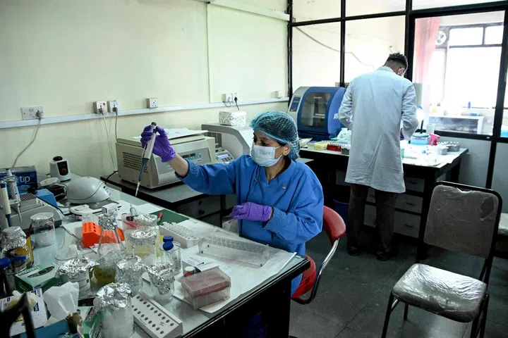 Forensic analysts conduct DNA testing to help identify missing flash flood victims at the National Forensic Science Laboratory in Lalitpur.
