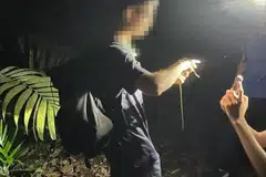 The National Parks Board is investigating how a snake was handled on the Mandai Trail.