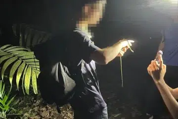 The National Parks Board is investigating how a snake was handled on the Mandai Trail.