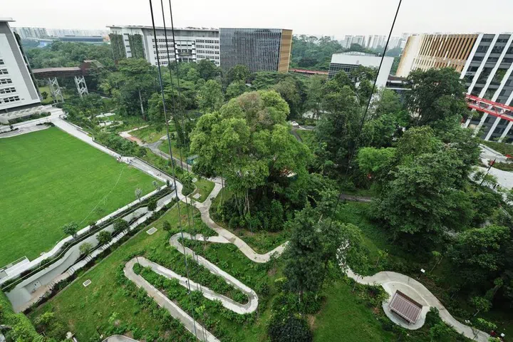 A 400m section of the Punggol Heritage Trail was opened on Aug 23.