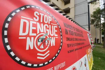 There were 12 active dengue clusters reported as at June 15, including four with the red-alert classification.