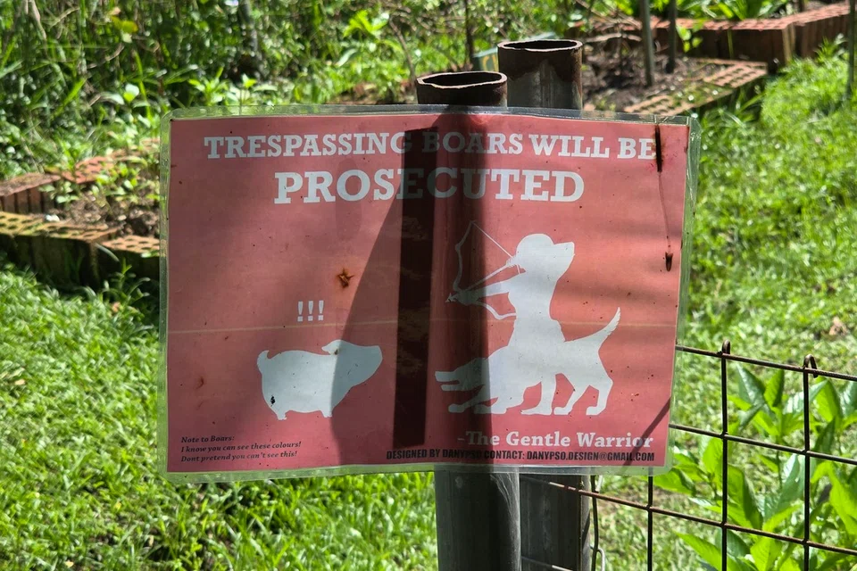 A sign placed outside a vegetable patch on the farm to ward off wild boars.