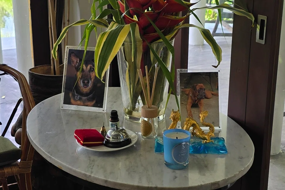 A table with photos of some of the couple’s favourite dogs, Rascal and Ali.