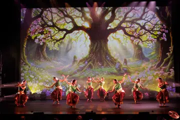 Bharathanatyam dancers from Bhaskars Arts Academy showcasing their presentation