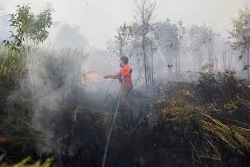 A Masyarakat Peduli Api (MPA) member extinguishes a fire at a wildfire-affected area in Palangka Raya, Central Kalimantan province, Indonesia, August 14, 2026.