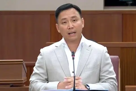 No Evidence That Online Posts Targeting Indian Community Were Coordinated Campaign: Minister Goh Pei Ming