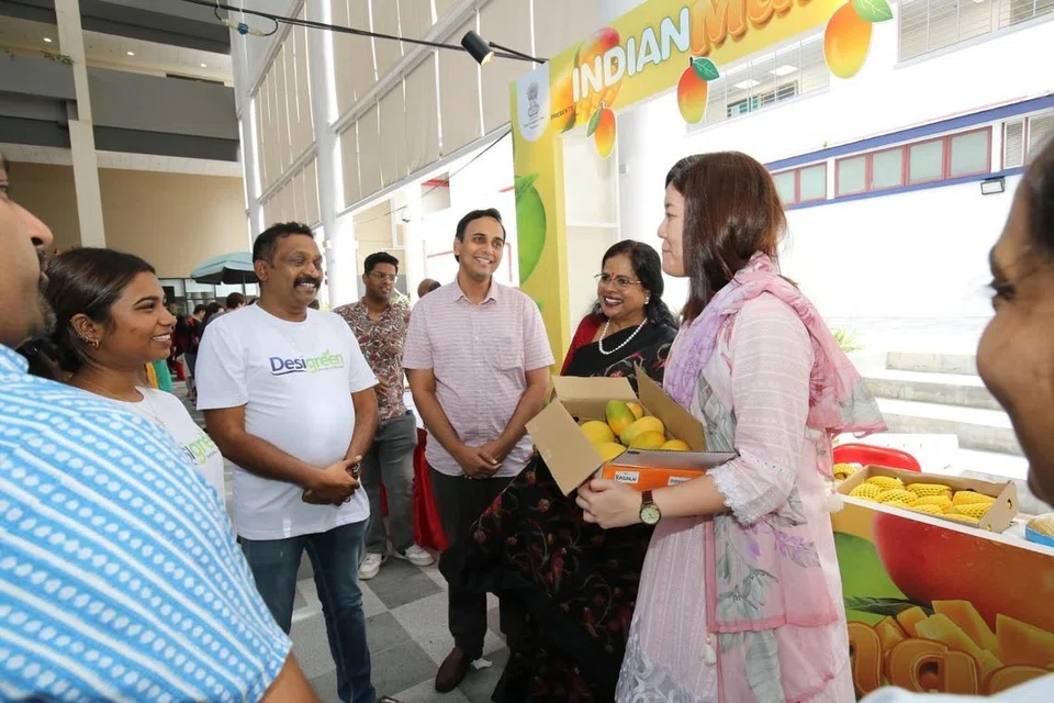 Visitors sampled and discussed famous Indian varieties such as Alphonso, Kesar, Dasheri and Langra, many tasting them for the first time.