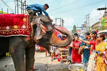 Devotees offer eatables to an elephant as they arrive to pray at a temple of the elephant-headed Hindu deity Lord Ganesha on the occasion of the Ganesh Chaturthi festival in Guwahati on August 27, 2025. 
