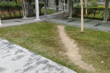 Walking diagonally across the grass can save seconds.