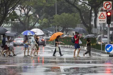 Thundery showers are expected over parts of the island in the late morning and afternoon on most days in the first half of August.
