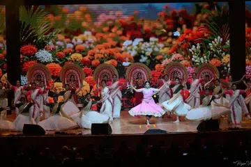 A dance performance featuring Asha Sharath.