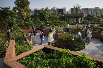 To date, more than 2,500 allotment gardening plots have taken root in 29 parks and gardens across Singapore.