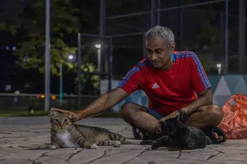 Mr Panneerselvam has been feeding his neighbourhood cats every evening for the past 24 years.