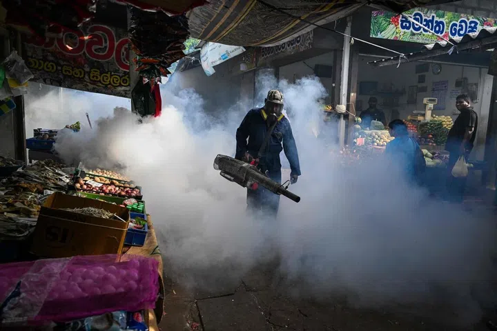 A municipal worker fumigates a market area during a dengue prevention campaign in Colombo
