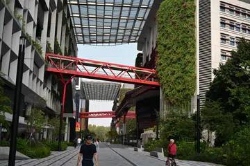 Punggol Digital District (PDD) with Singapore Institute of Technology (SIT) Punggol Campus (right) located in Punggol Coast Road. Tech employment in non-tech sectors rose 5.3 per cent year on year to 130,900 from 124,400 in 2024, while the number of tech professionals in tech sectors increased 1.8 per cent to 91,300 from 89,600 the previous year.