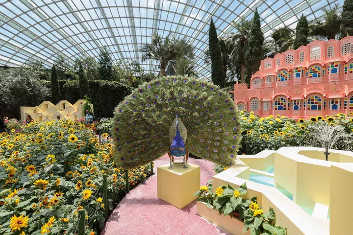 A key feature of Sunflower Surprise is the peacock sculptures adorned with over 550 feathers made from fabric and glass beads.