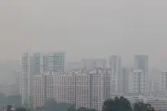 Mr Ong noted that international studies have found that PM2.5 is associated with a higher risk of lung cancer but this is often after long-term exposure.
