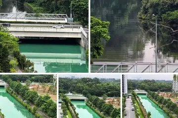 The National Environment Agency (NEA) is investigating after water in a canal in Yishun Close turned green. 
