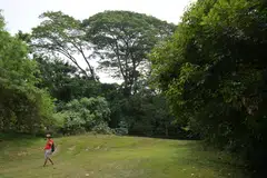 Initial plans for the sites retained 40 per cent of green spaces in Gillman Barracks and 35 per cent in Maju Forest.