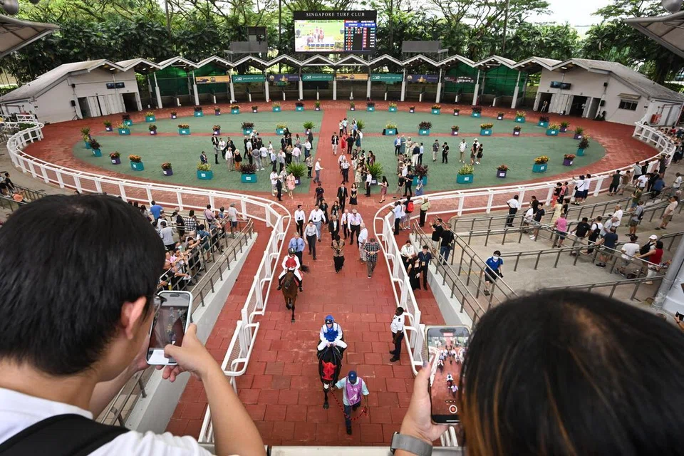 Viewing of horses in Parade Ring at Singapore Turf Club on Oct 5, 2024.