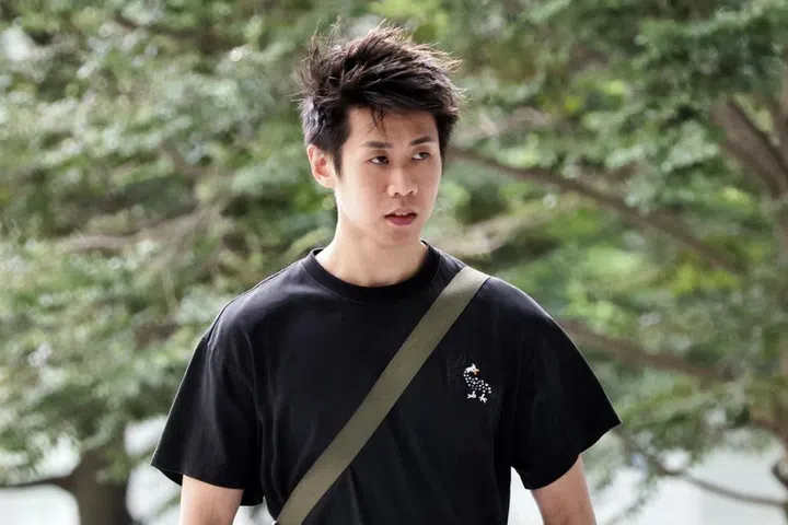 Puah Zhe Cong was handed seven charges under the Road Traffic Act on June 10, including dangerous driving causing death and failing to stop after the accident.