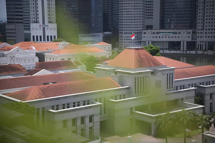 The changes were proposed by Leader of the House Indranee Rajah in a parliamentary motion on Aug 4, based on recommendations in a report submitted to Parliament in July.