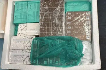 Dermal fillers seized during the raid. Prescription medication and anti-parasitic drugs made up the bulk of the seizures in Singapore.
