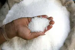 India, one of the world’s biggest producers of sugar, has banned sugar export till September 2026.