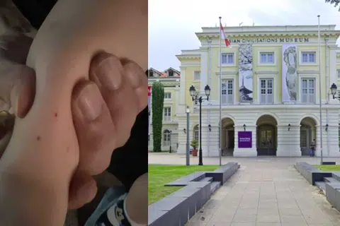 Snake Bites Child Outside Asian Civilisations Museum