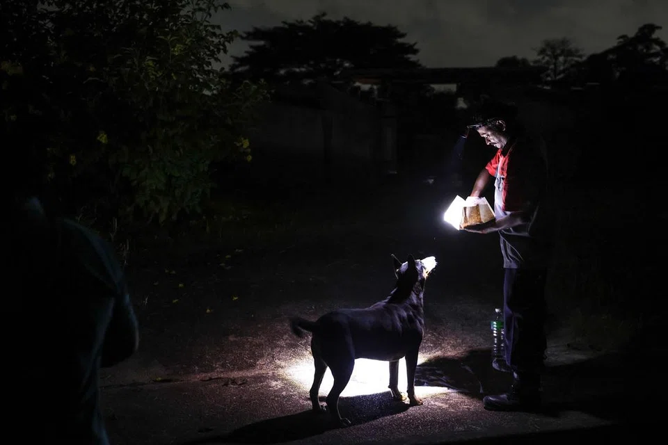 Mr Chandramoorthy Krishnamoorthy, along with Ms Mumtaz Begum Aziz, feed about 50 cats and dogs at a cemetery every evening.