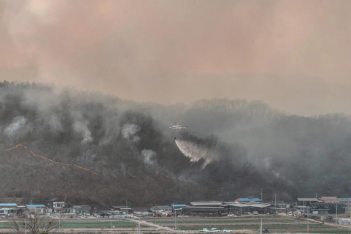 தென் கொரியா காட்டுத்தீயில் 4 பேர் பலி; அவசரநிலை பிரகடனம்