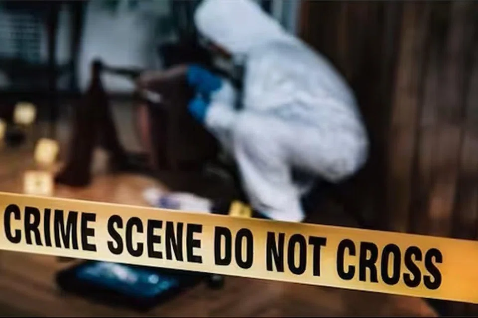 7017b04f-e6d7-4fe8-a59f-4d96e016b297