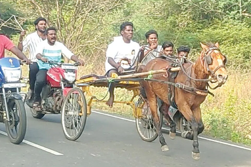 போட்டியில் பங்கேற்றவர்கள் வெற்றி பெறும் நோக்கத்துடன் தீவிரமாகச் செயல்பட்டனர்.